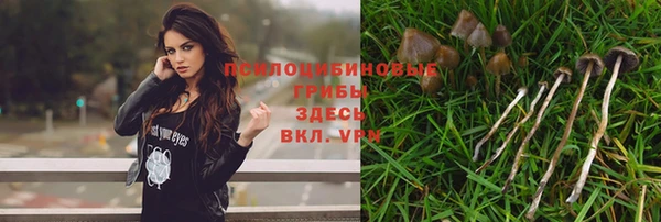 прущая мука Белокуриха