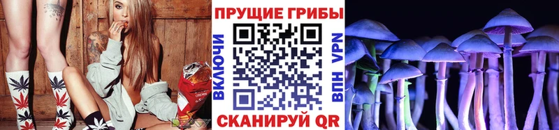 наркошоп  Богданович  blacksprut рабочий сайт  Галлюциногенные грибы Psilocybe 