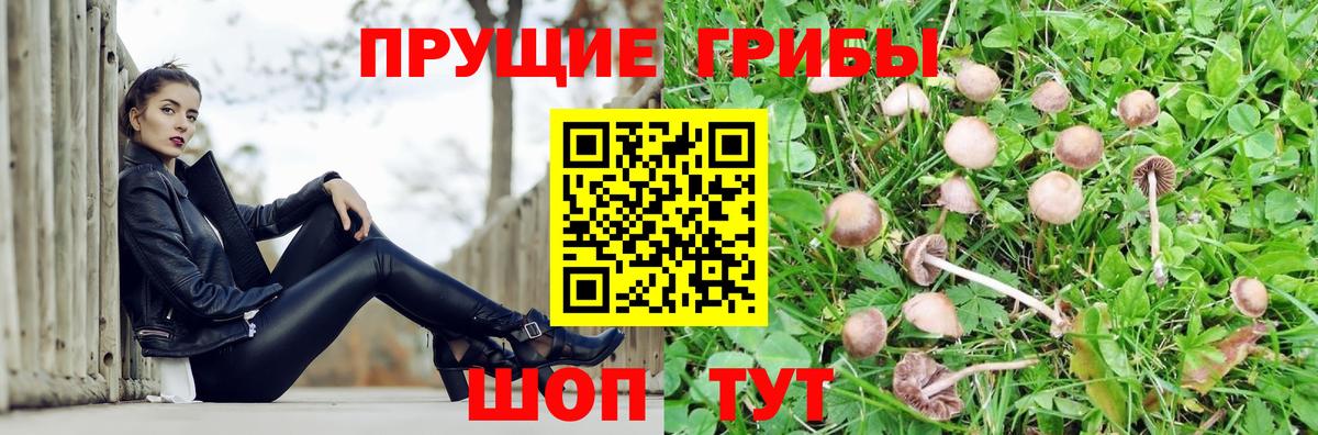 Галлюциногенные грибы Magic Shrooms Богданович