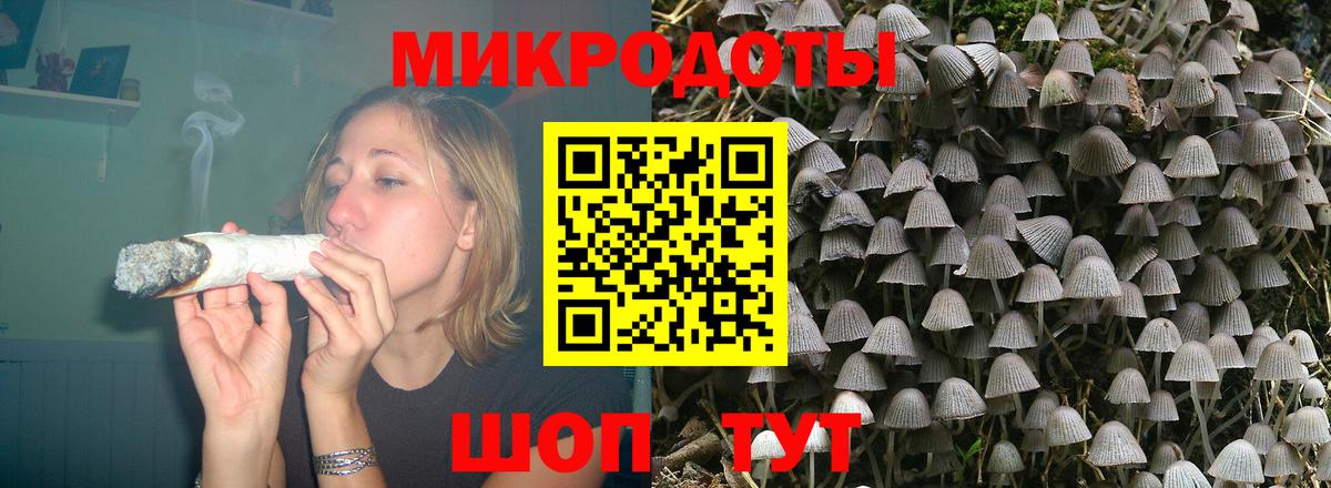 Псилоцибиновые грибы Psilocybine cubensis  Вход с VPN  Галлюциногенные грибы Psilocybine cubensis  Богданович 